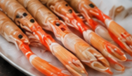 SCHAALDIEREN ONLINE BESTELLEN